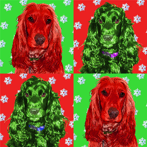 dog christmas cards