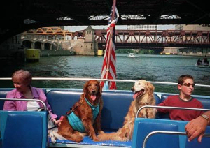 Cruise for dogs in chicago