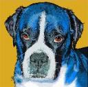 original boxer art