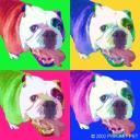 warhol style dog portrait