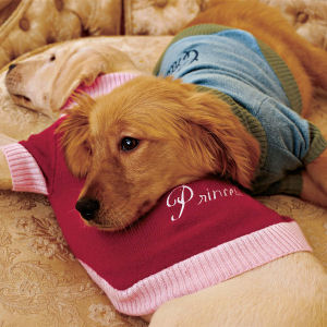 Cashmere Dog Sweater
