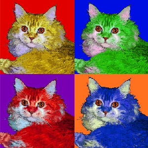 cat portraits