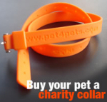 charitycollar.jpg