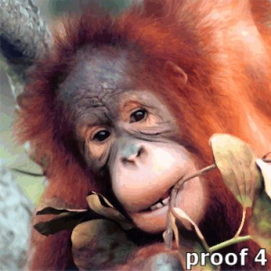animal portrait