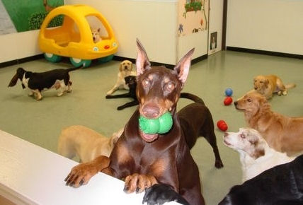 daycare.jpg