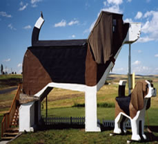 Bed & Breakfast for Dogs