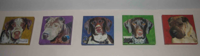 pet portraits