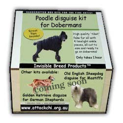 Disguise your dog