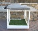 litter box for dogs