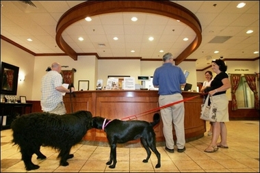 Petsmart Pet Hotel