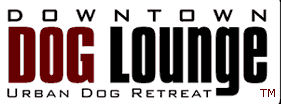 downtown dog lounge