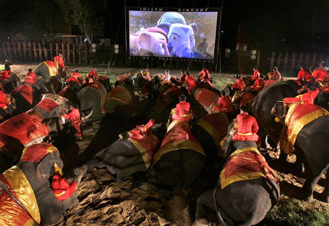 elephants at the drive in