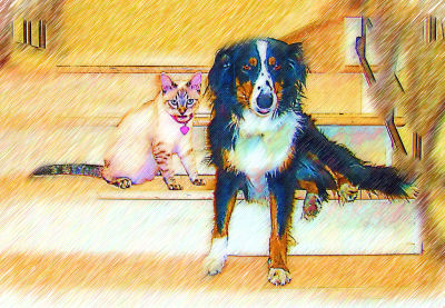 Custom Pet Portraits