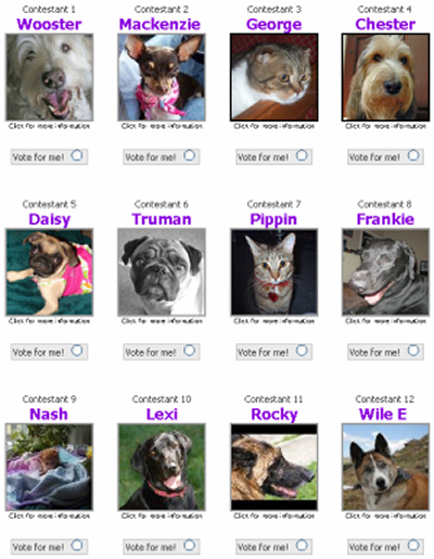 Pet Photo Contest
