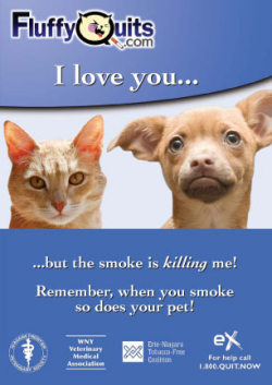 second hand smoke affects pets