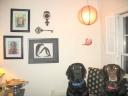 custom Labrador portraits