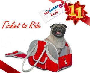 Pet Carriers