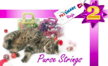 Cat toys in a purse
