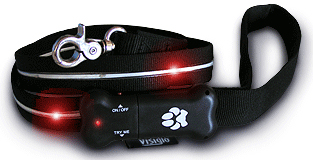 glowcollar.jpg