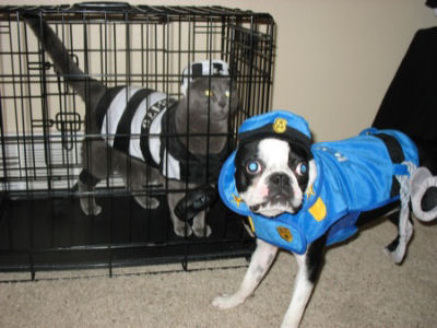 halloween3.jpeg