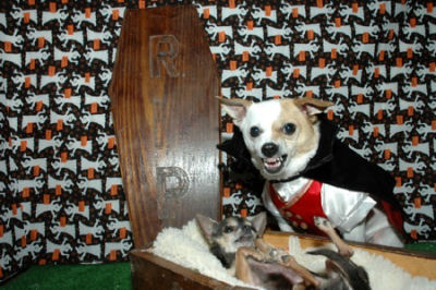 halloween8.jpeg