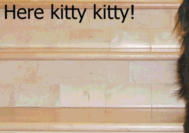 hf.gif