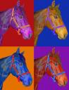 horse_art2.jpg