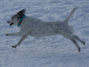 jumping_ky