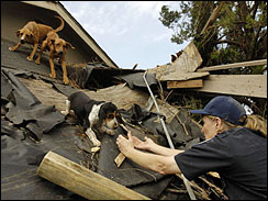 Katrina pet custody battles