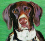 Dog portrait from your photos
