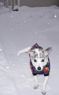kylie_snow.jpg