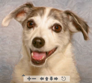 Custom Dog Portrait