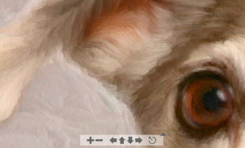 Dog Art