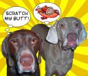 custom comic style dog portraits