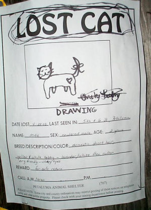 lost cat signs