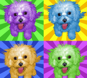 dog portrait