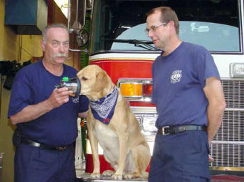 oxygen masks for pets