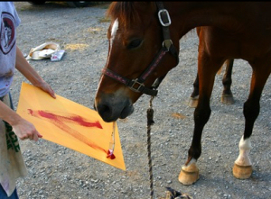 horse portraits