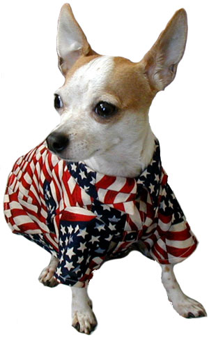 patriotic pet wear