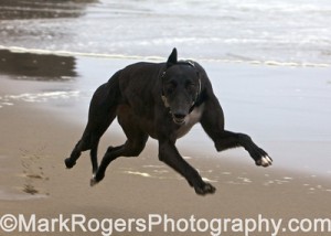 phototips2