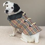 plaid.jpg
