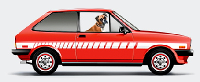 pet insurance