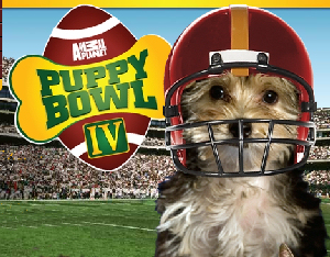 Animal Planet Puppy Bowl