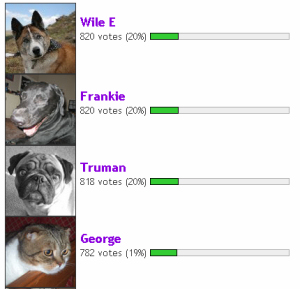 pet photo contest