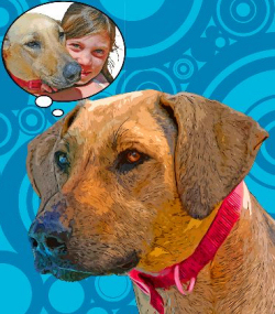 rhodesian_ridgeback_art1.jpg
