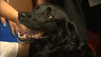 Katrina dog rescued