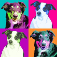Custom Dog Portraits