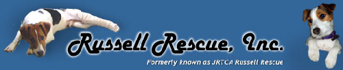 rri