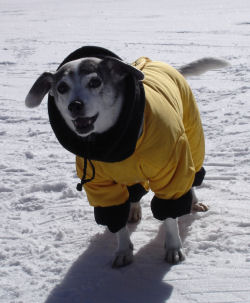 snowkylie.JPG