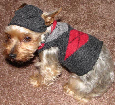 dog sweater sock